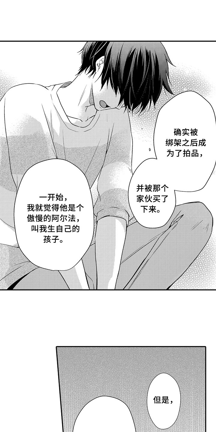 第14章：决定