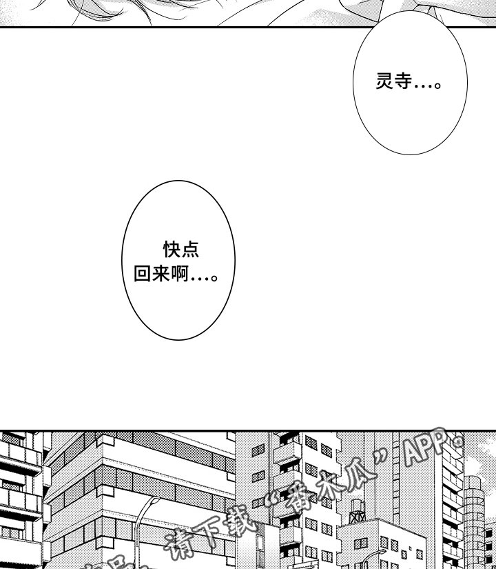 第14章：决定