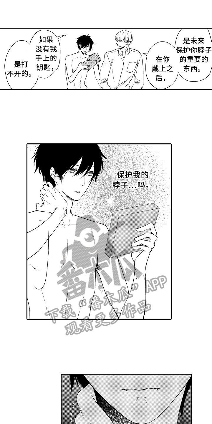 第17章：项链