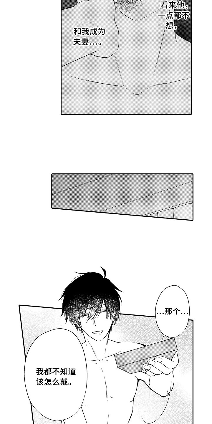 第17章：项链