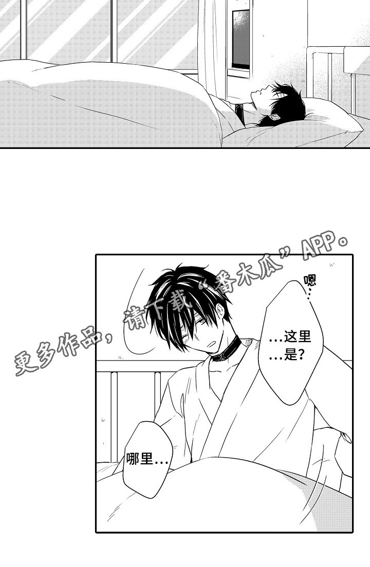 第17章：项链