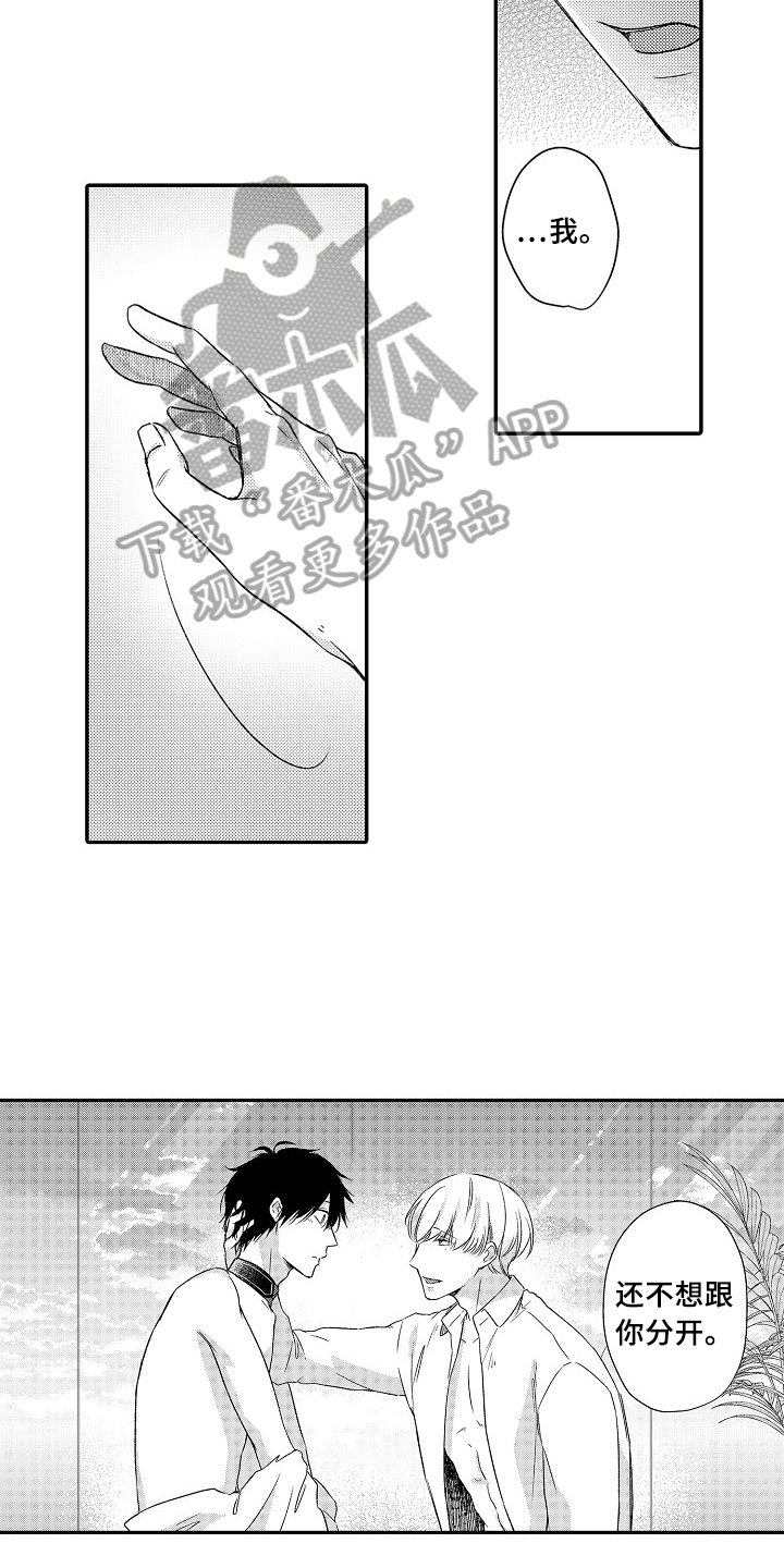 第23章：选择