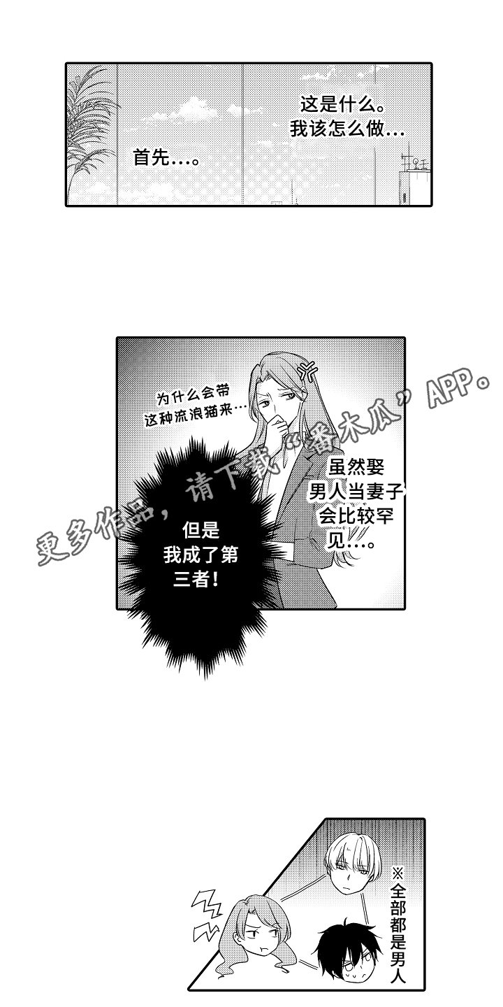 第4章：猜测