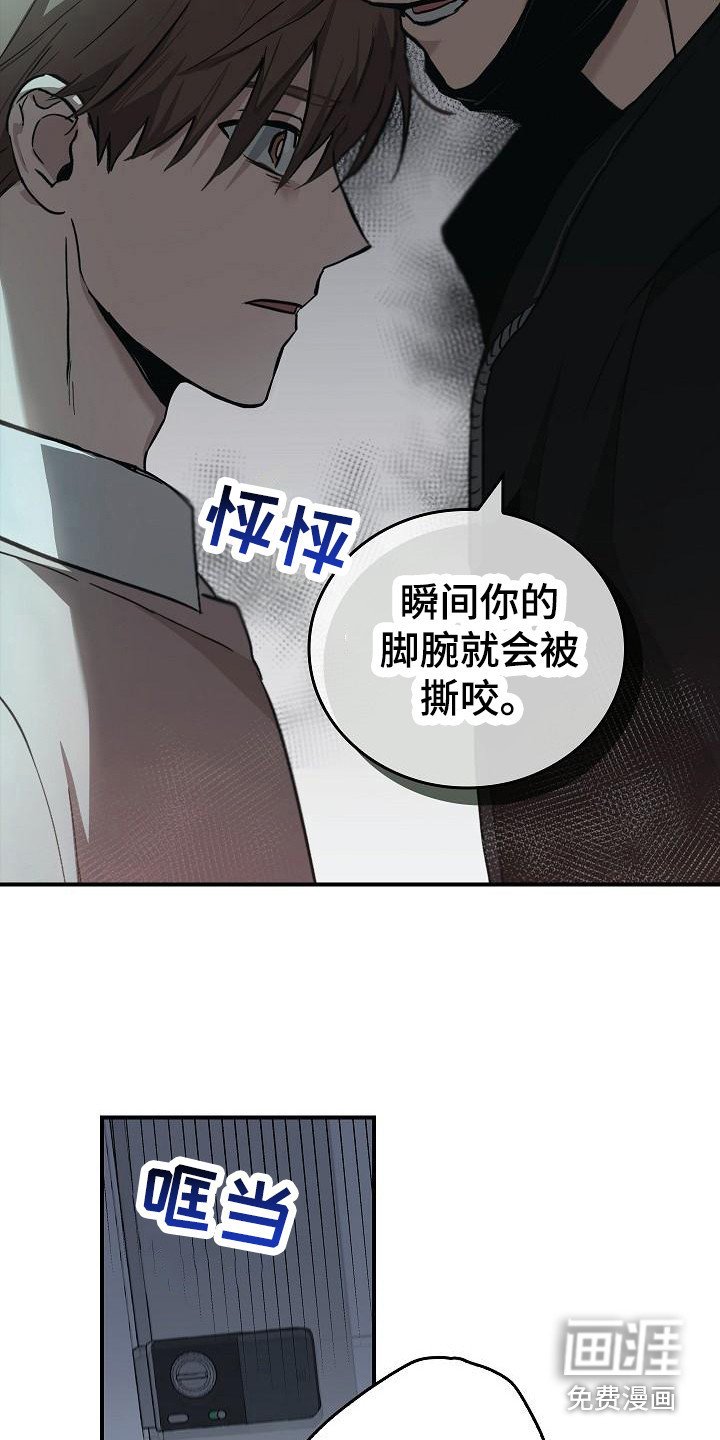 第11章：求救声