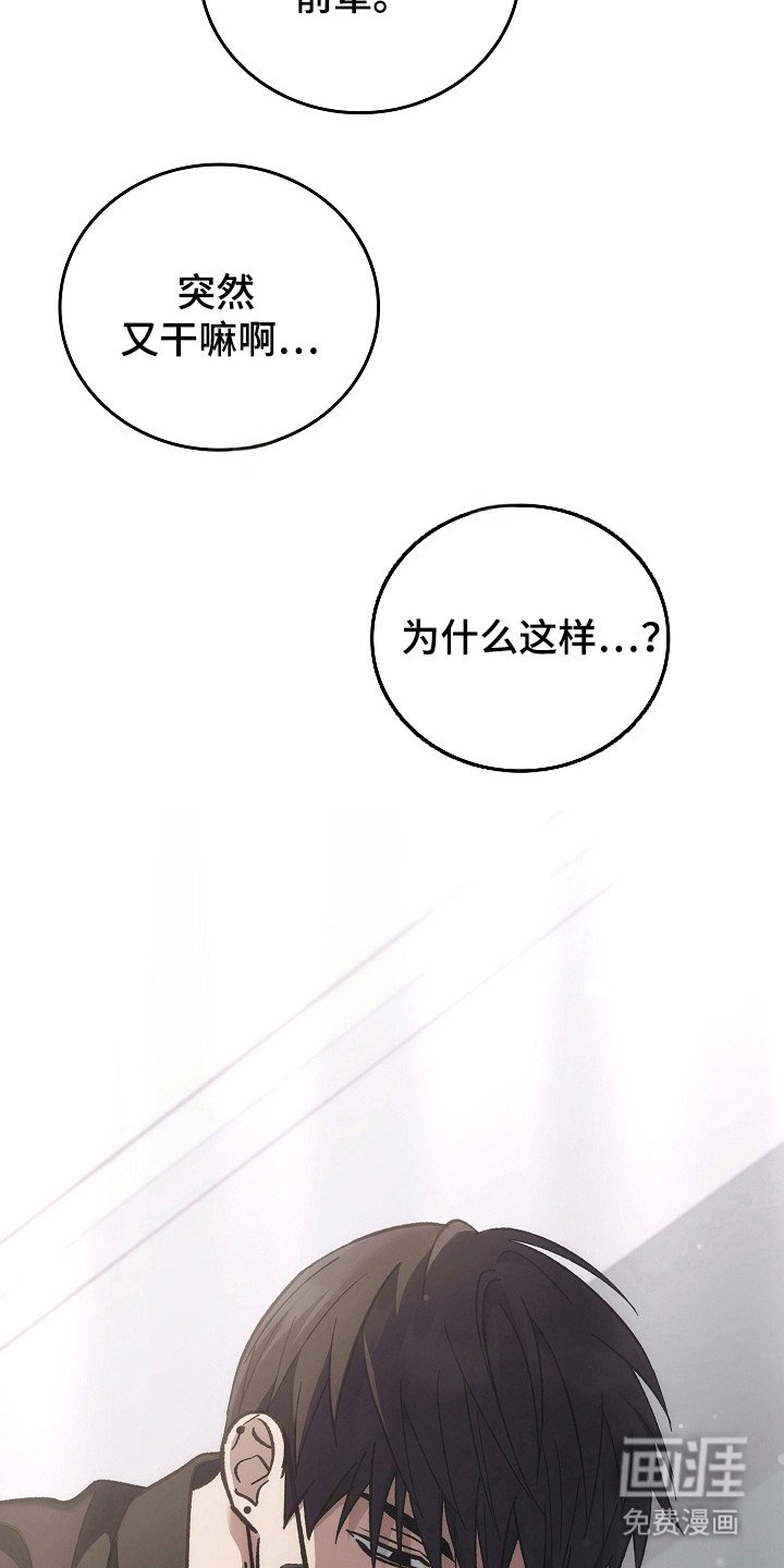 第114章：【第二季】很重要的人