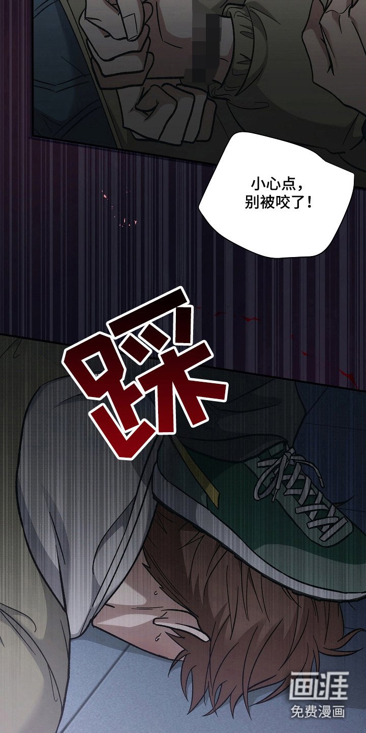 第120章：【第二季】残害同胞