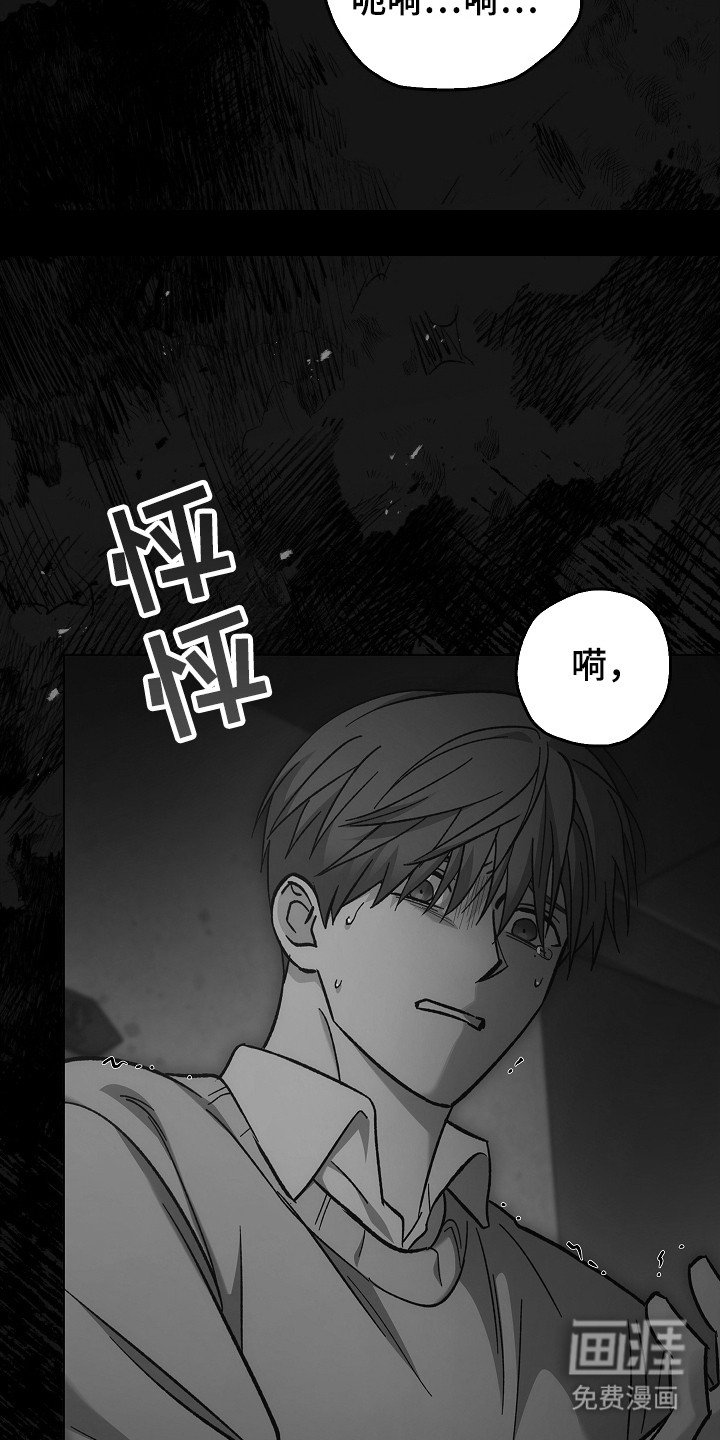 第124章：【第二季】再次重生
