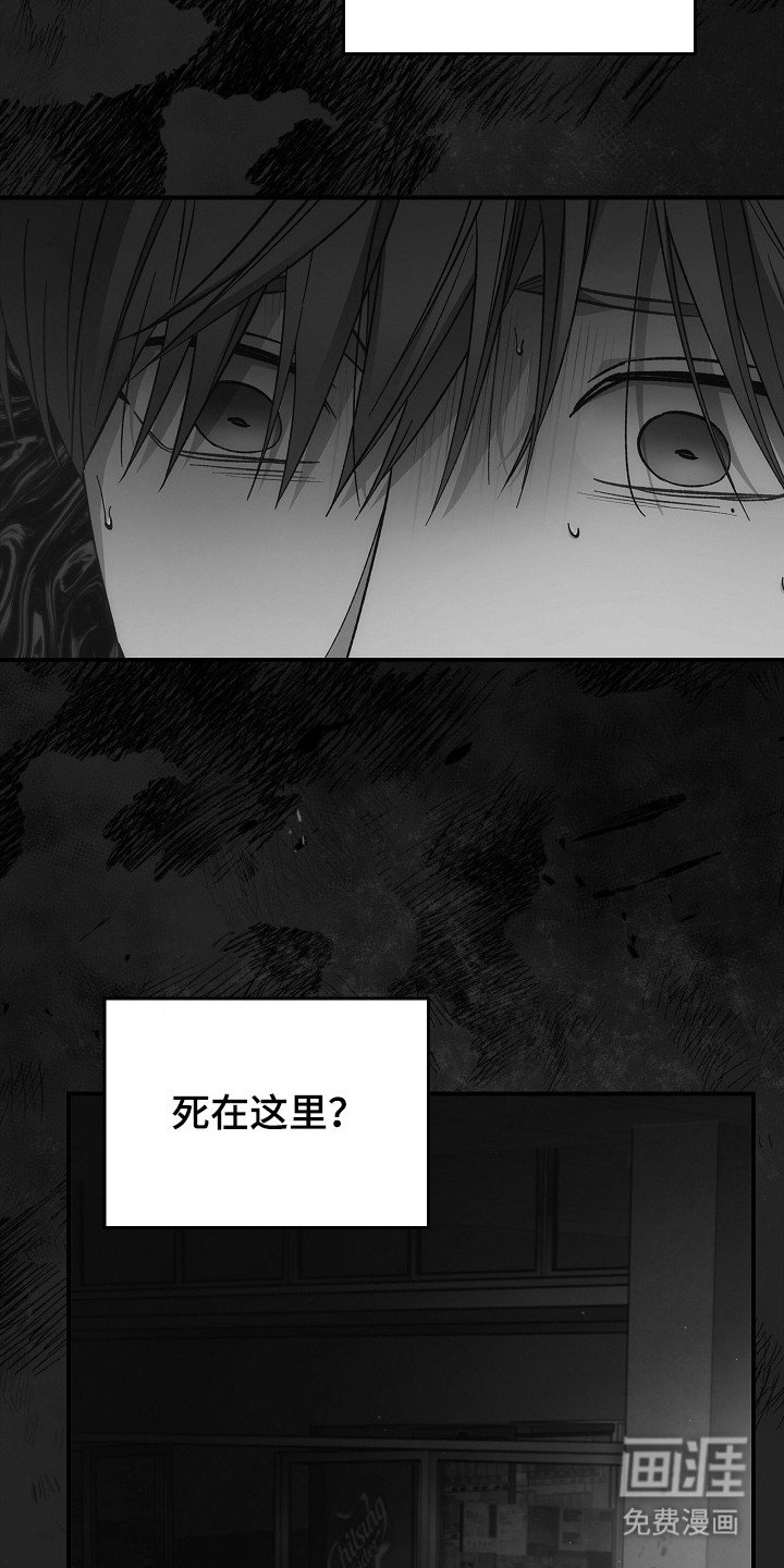 第124章：【第二季】再次重生