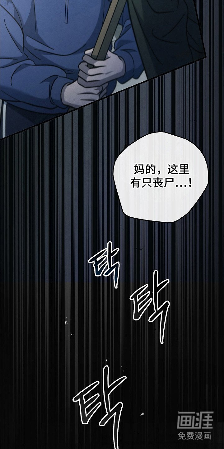 第131章：【第二季】作战计划