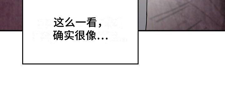 第21章：冲突