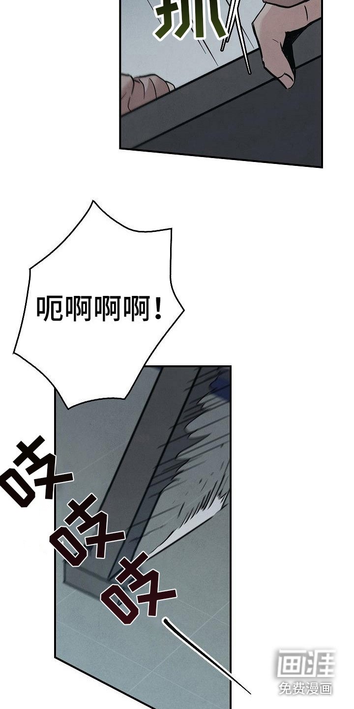 第29章：应对