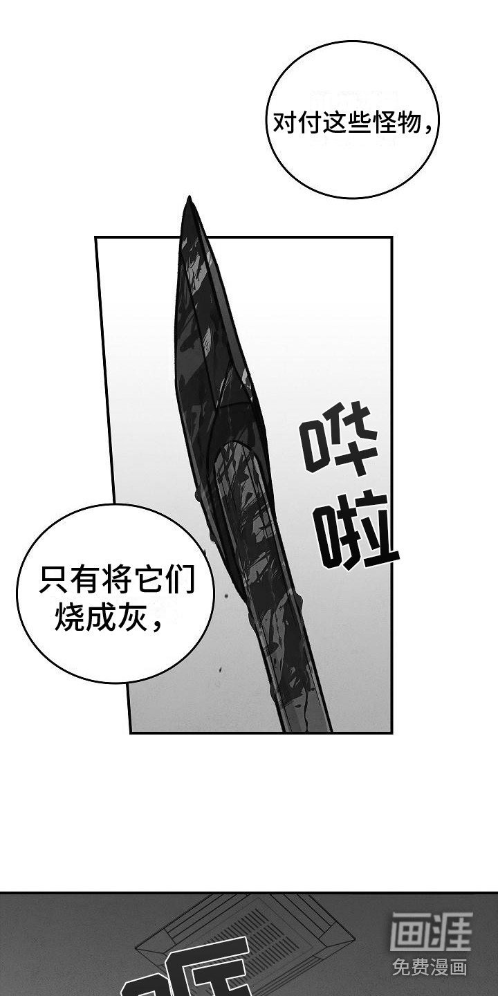 第29章：应对