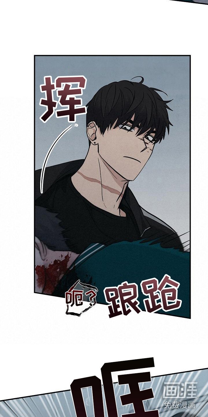 第29章：应对