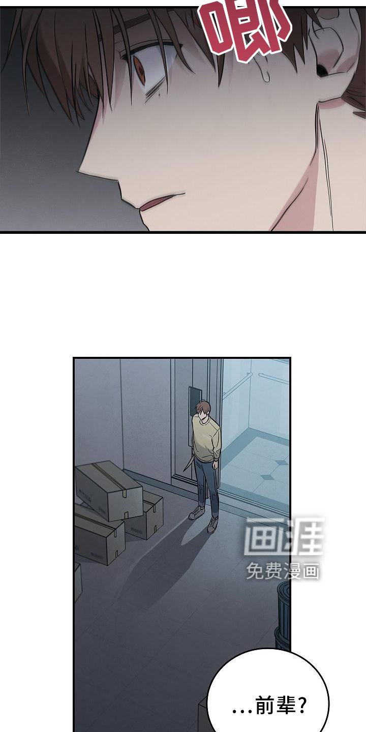 第44章：操作