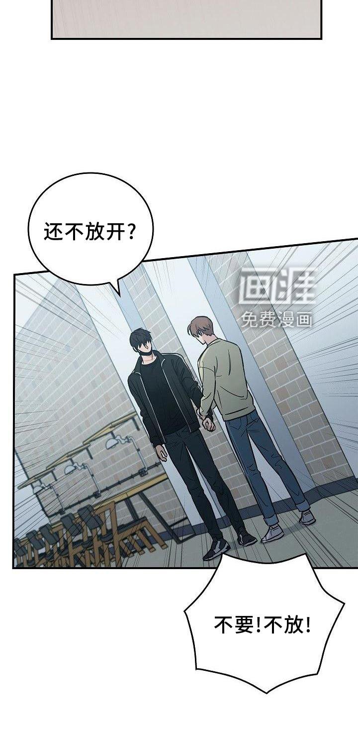 第48章：苹果