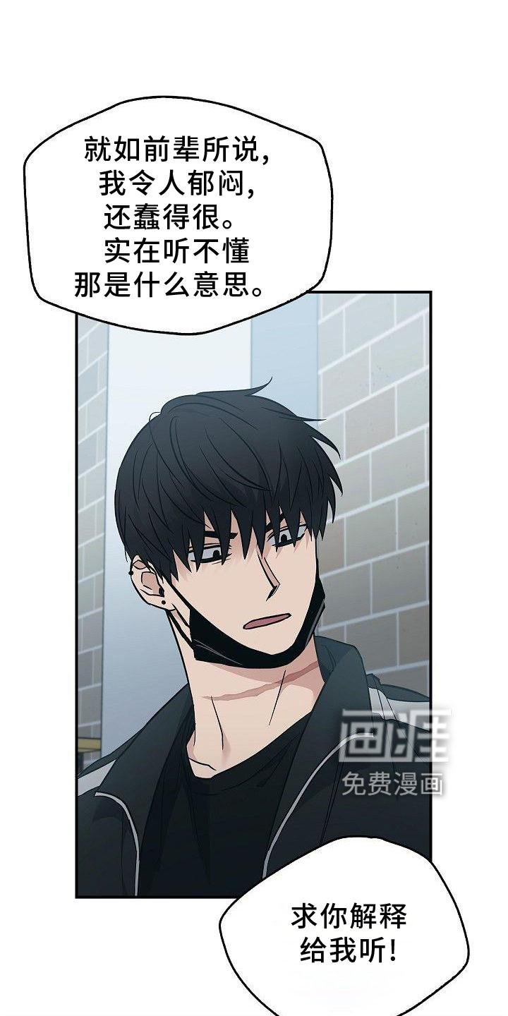 第48章：苹果