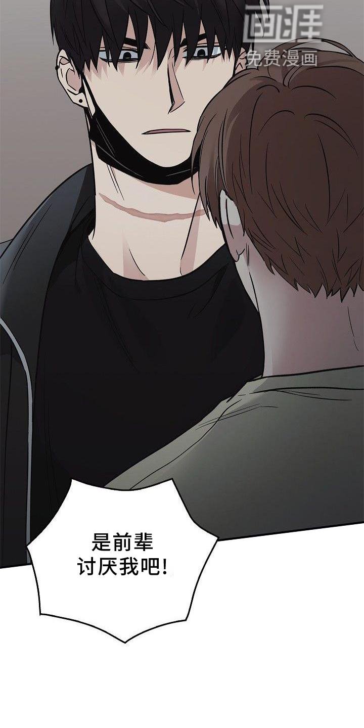 第48章：苹果