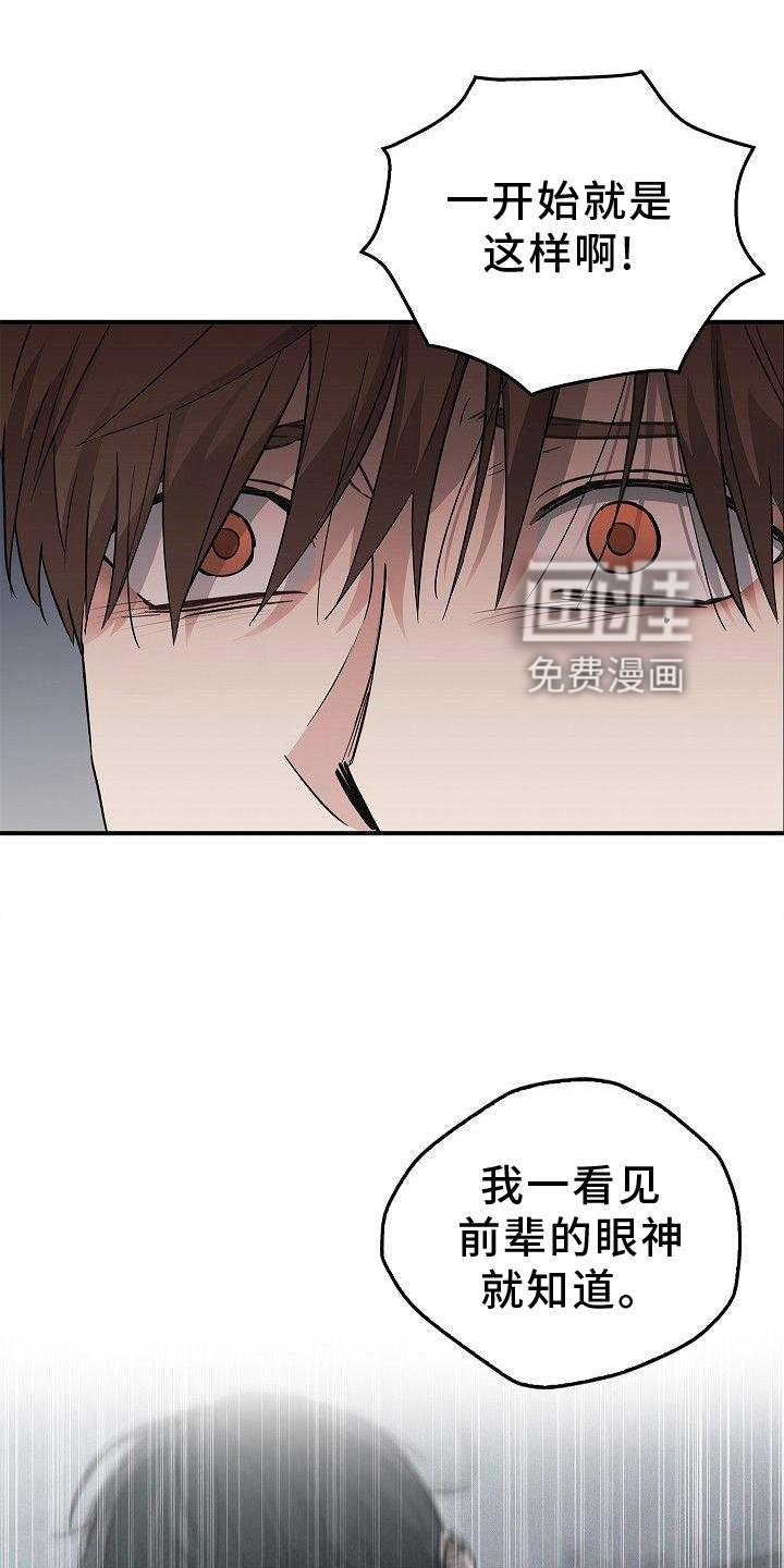 第48章：苹果