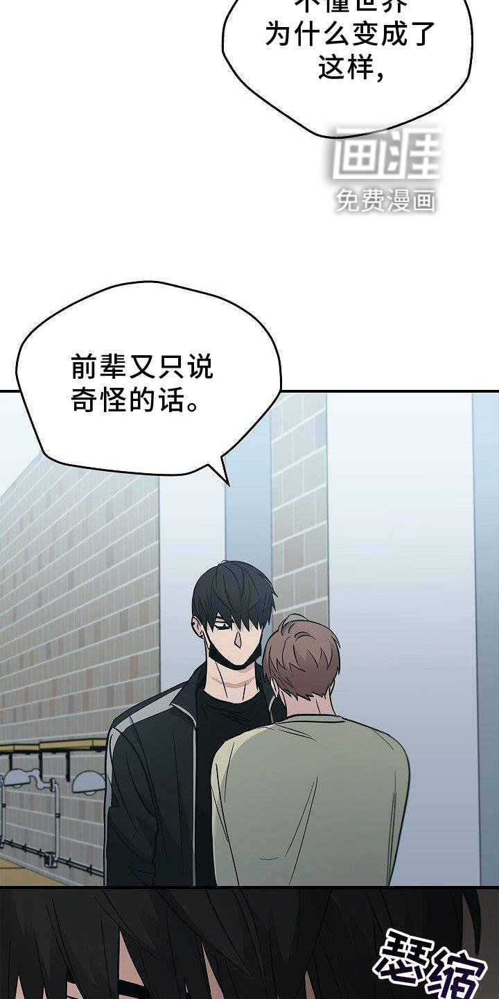 第48章：苹果