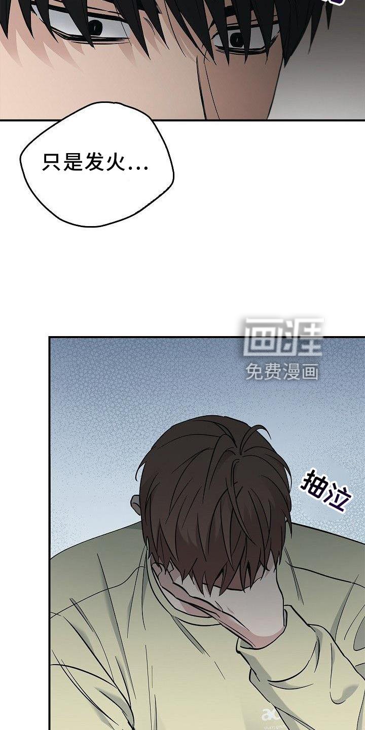 第48章：苹果