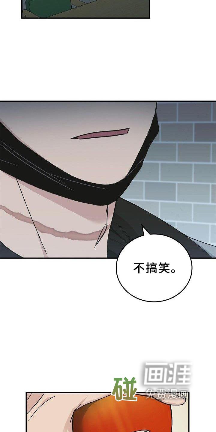 第48章：苹果