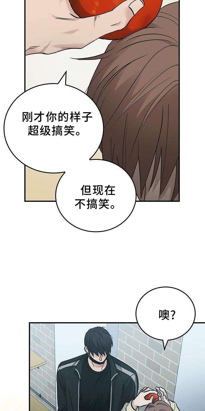 第48章：苹果