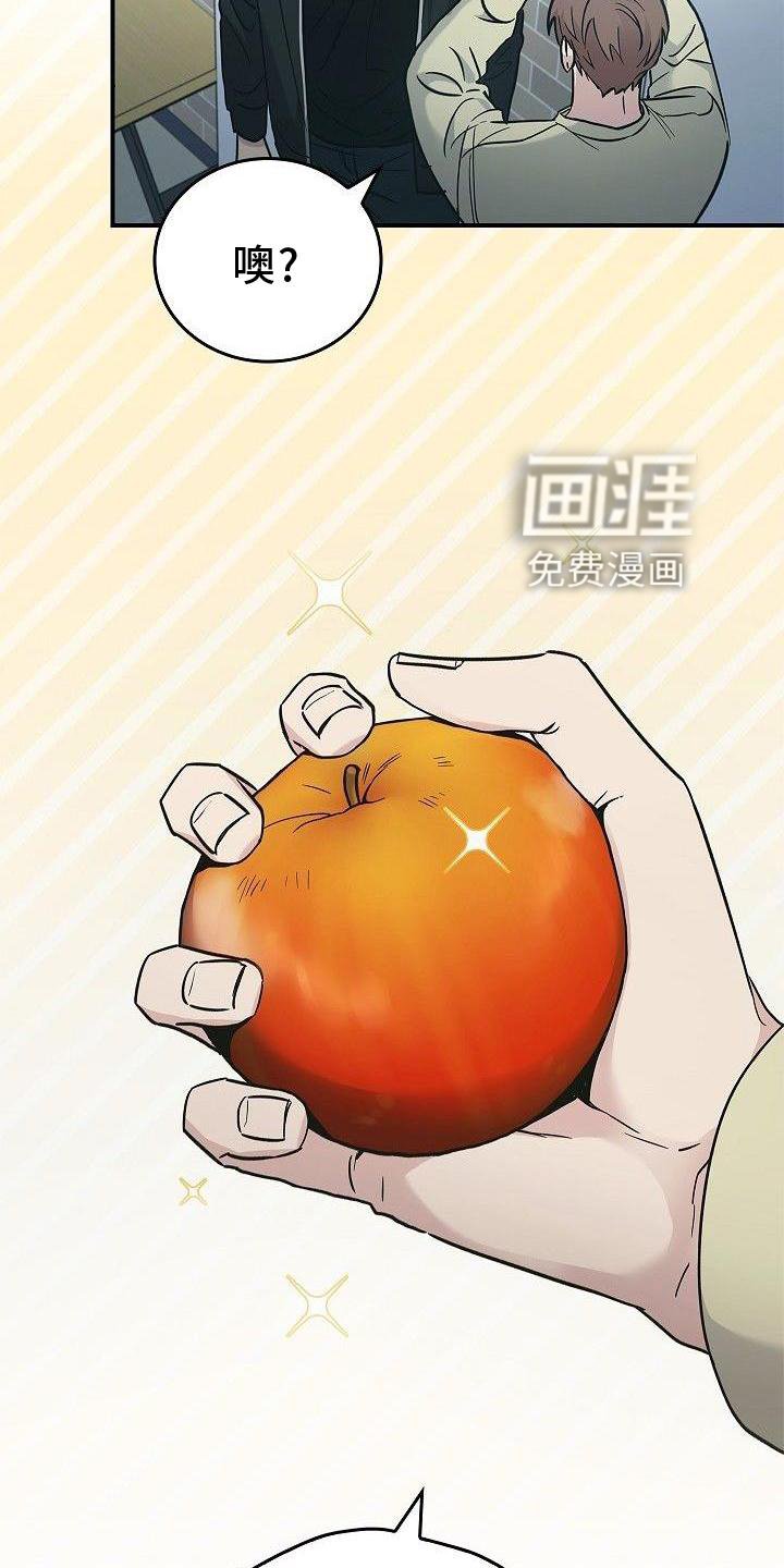 第48章：苹果