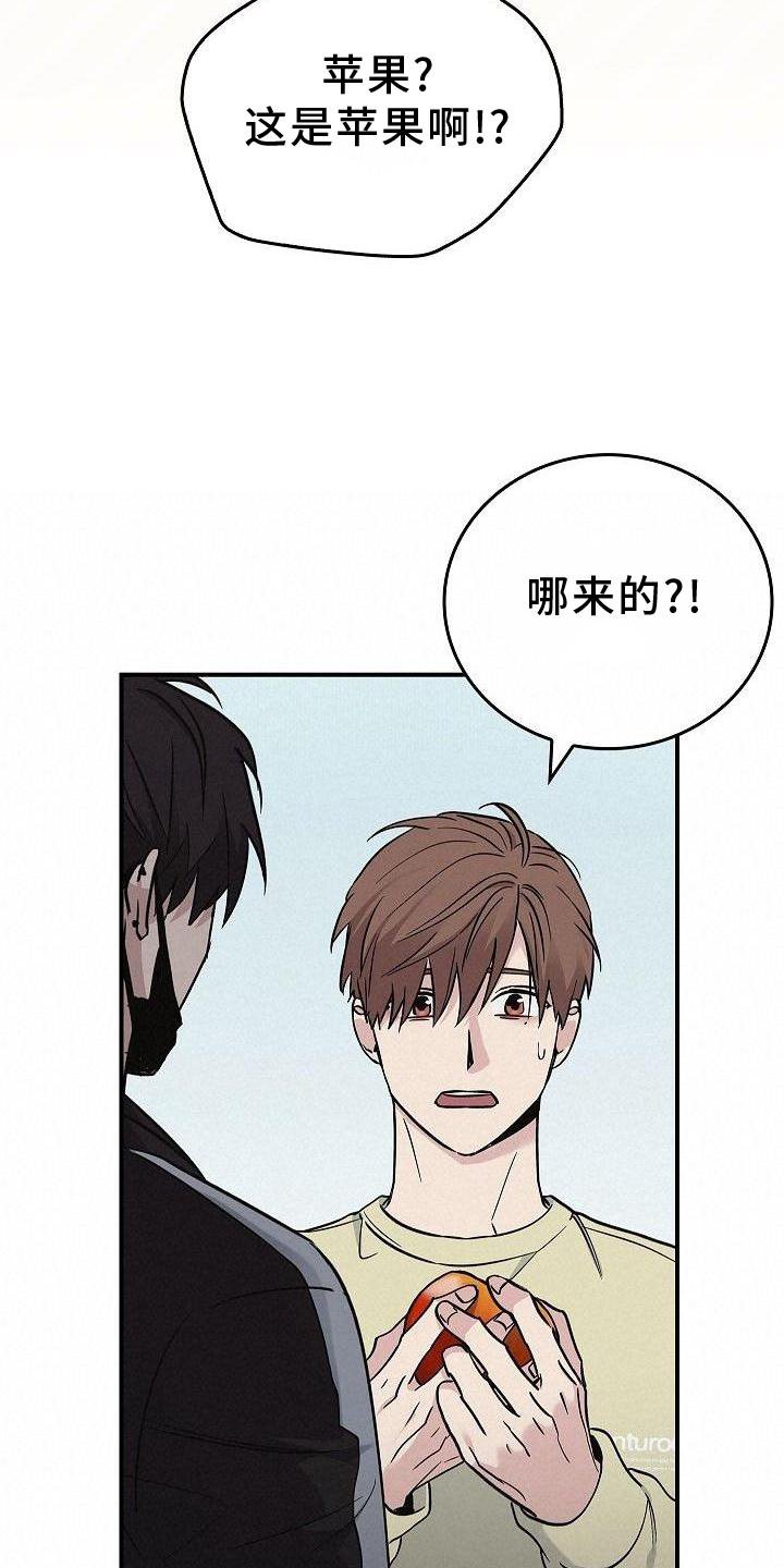 第48章：苹果