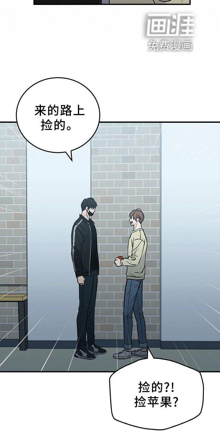 第48章：苹果