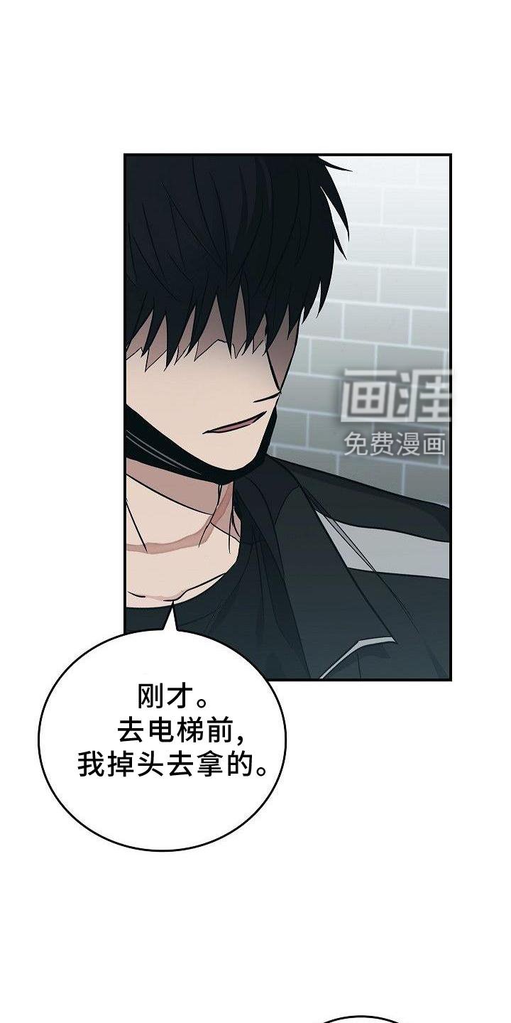 第48章：苹果