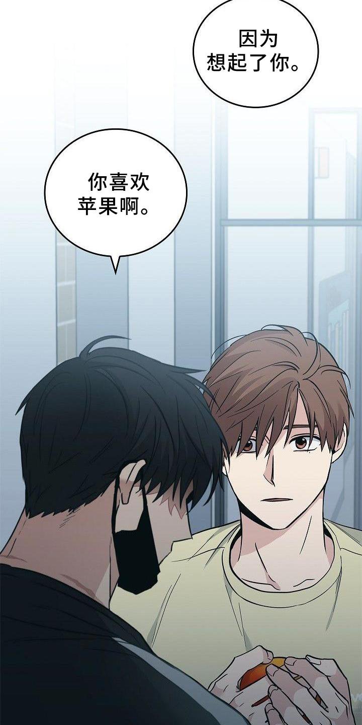 第48章：苹果