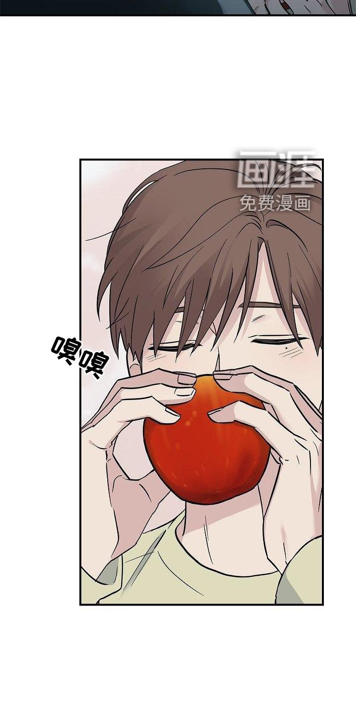第48章：苹果
