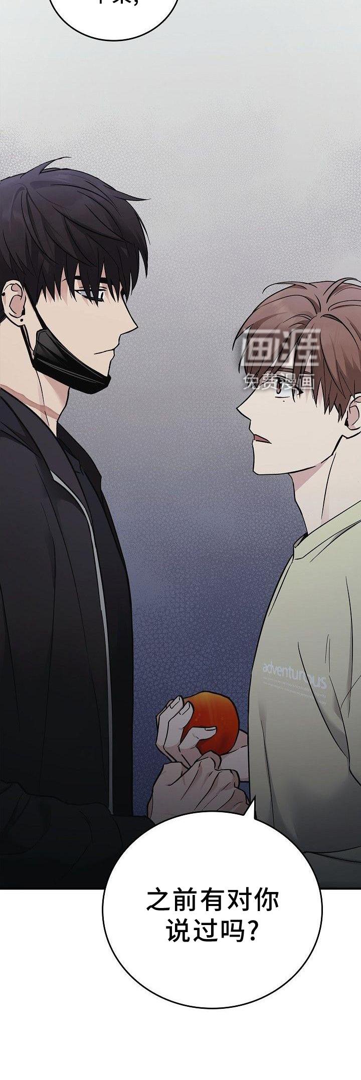 第48章：苹果