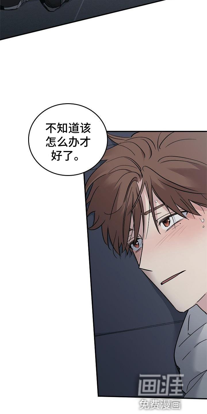 第56章：结束