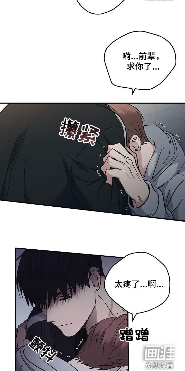 第69章：最美的样子