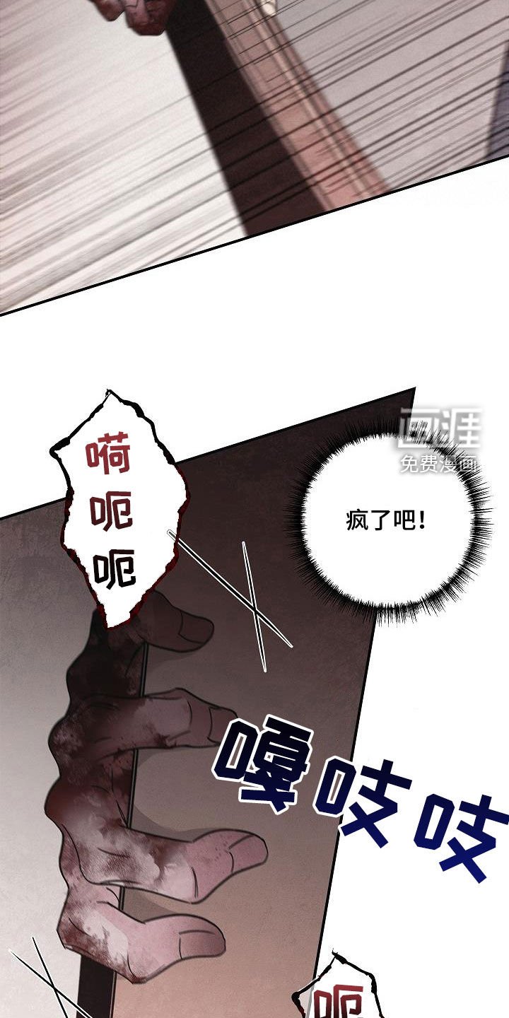 第74章：遇袭