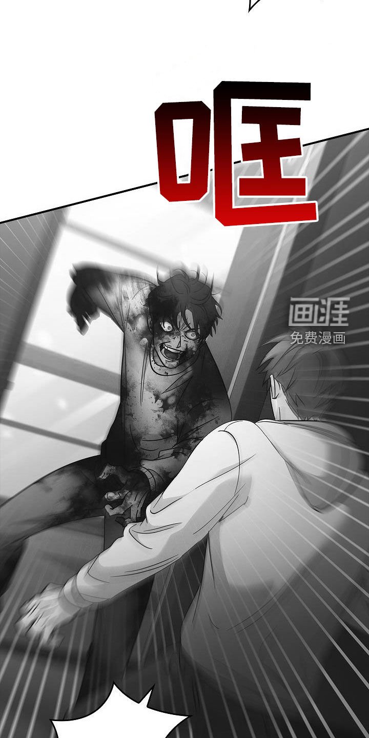 第74章：遇袭