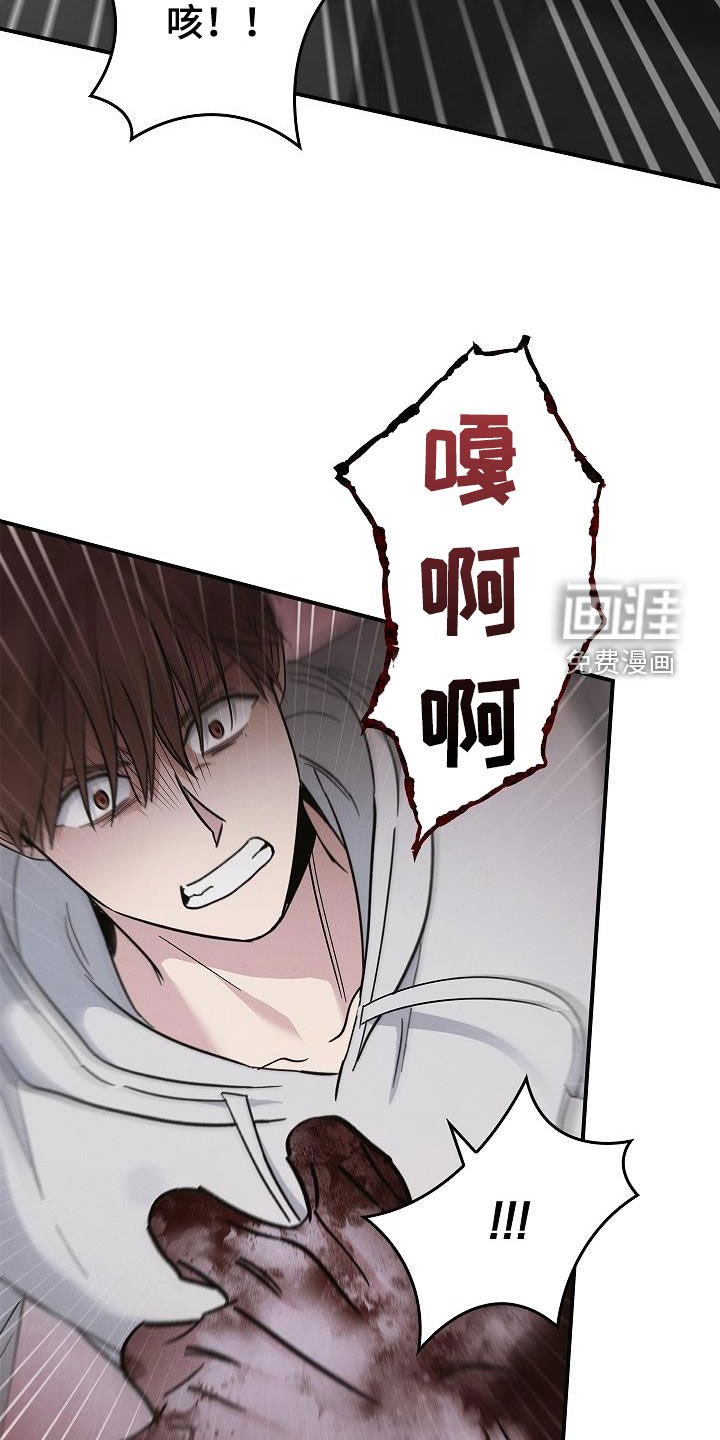 第74章：遇袭