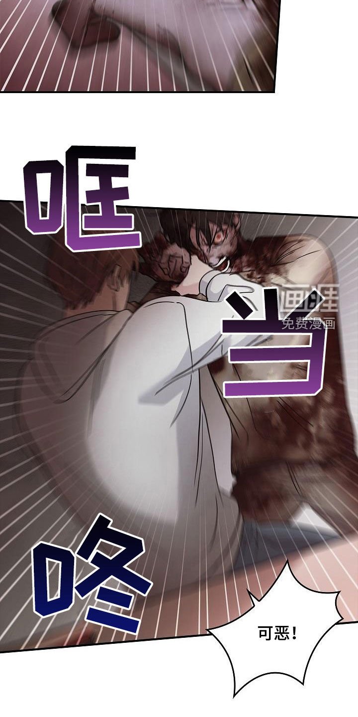 第74章：遇袭