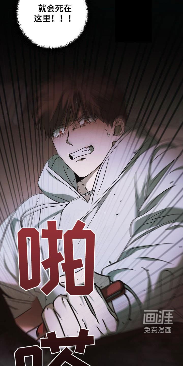 第74章：遇袭
