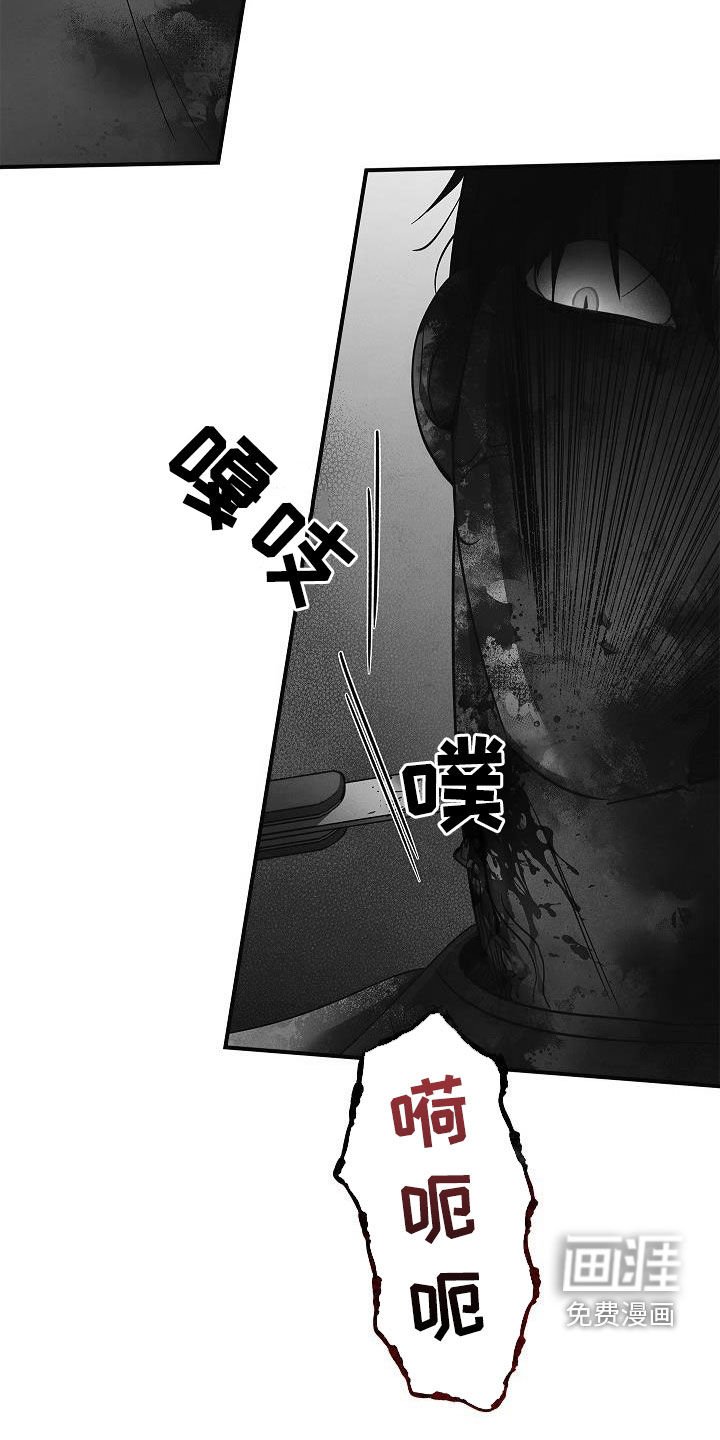 第74章：遇袭