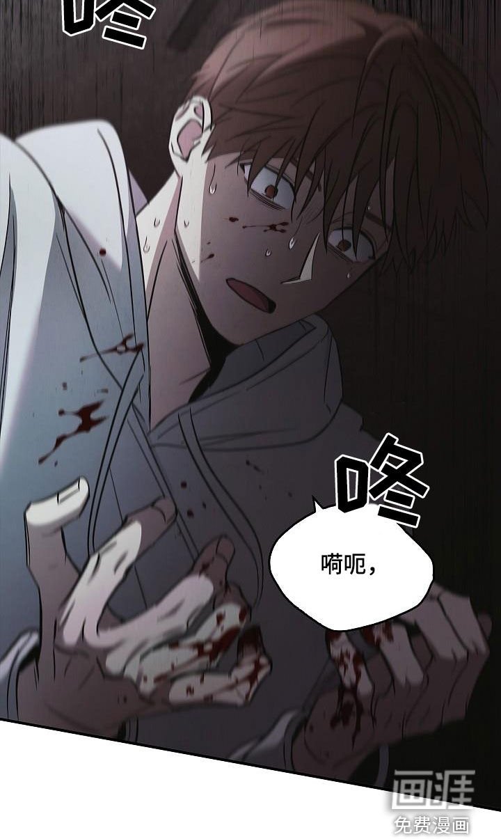 第74章：遇袭