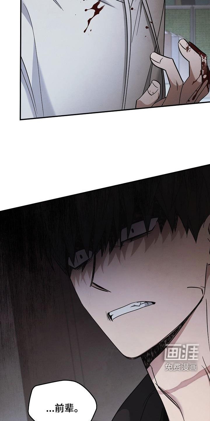 第74章：遇袭