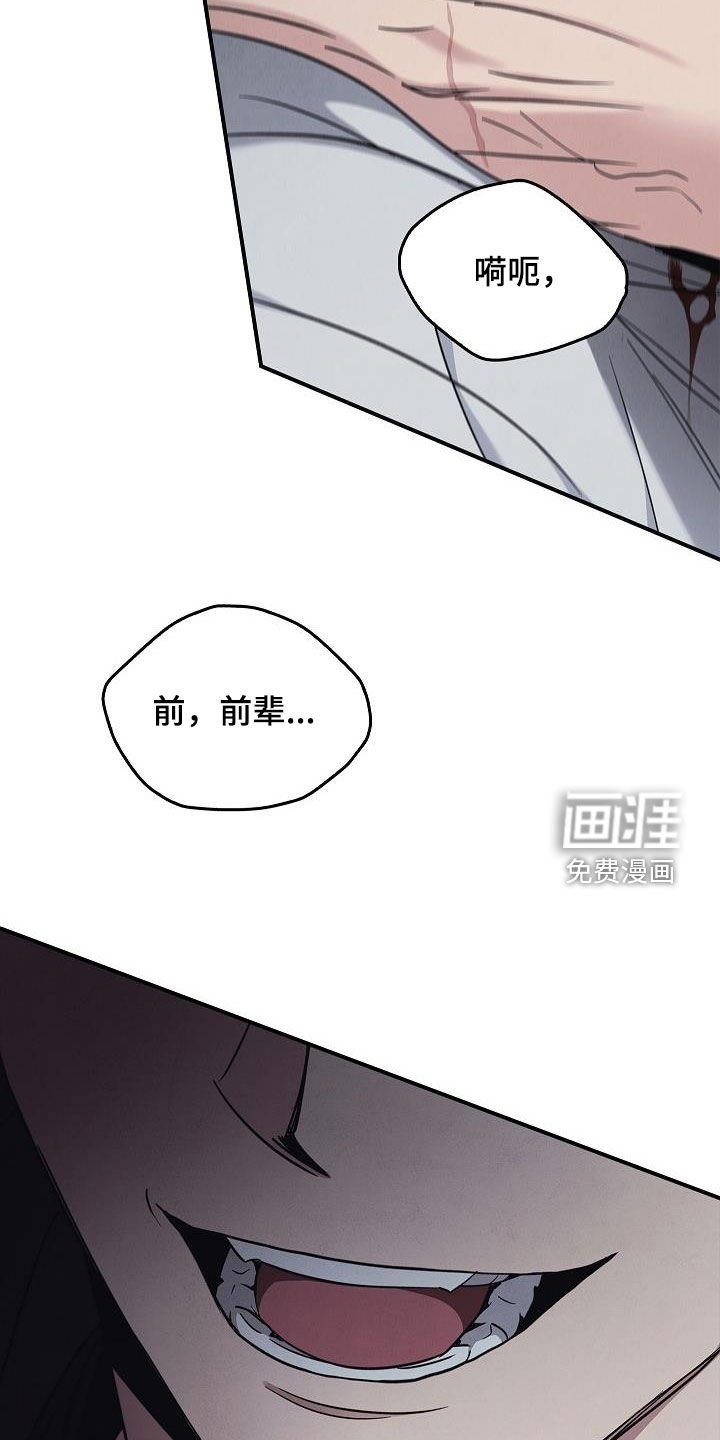 第74章：遇袭