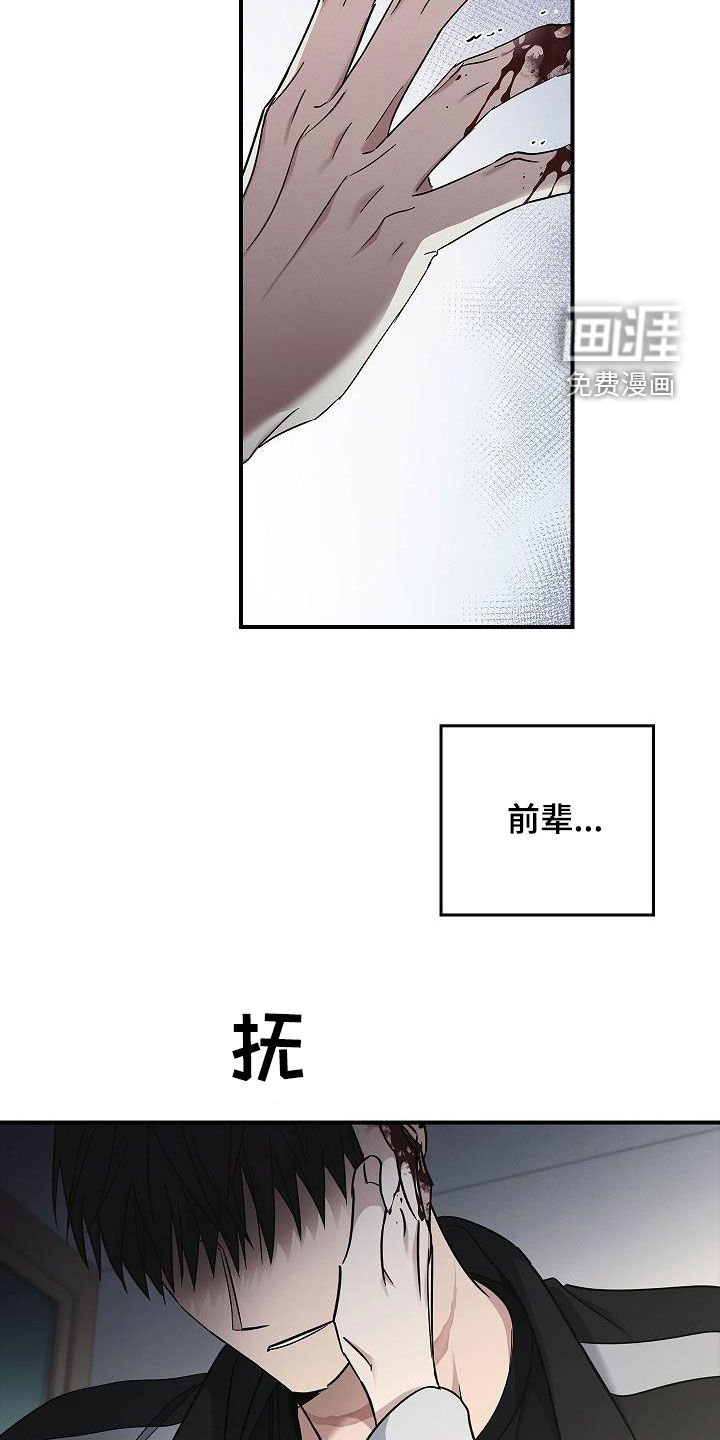 第75章：放过我吧