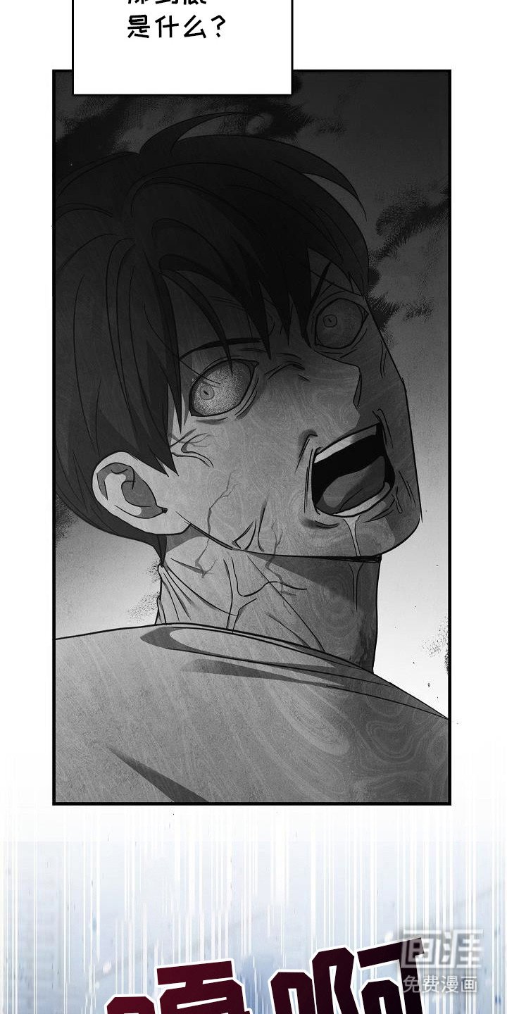 第82章：【第二季】那到底是什么东西