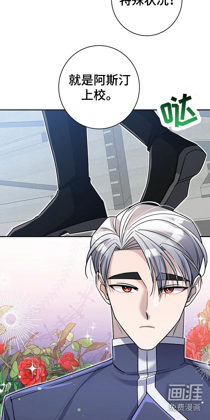 第13章：训练兵