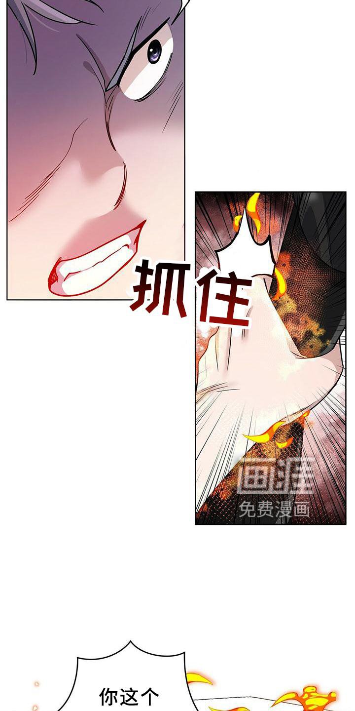 第17章：计划