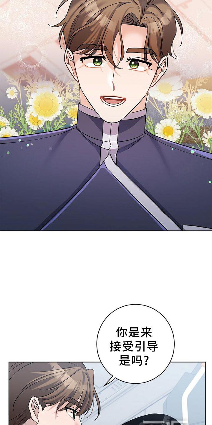 第17章：计划