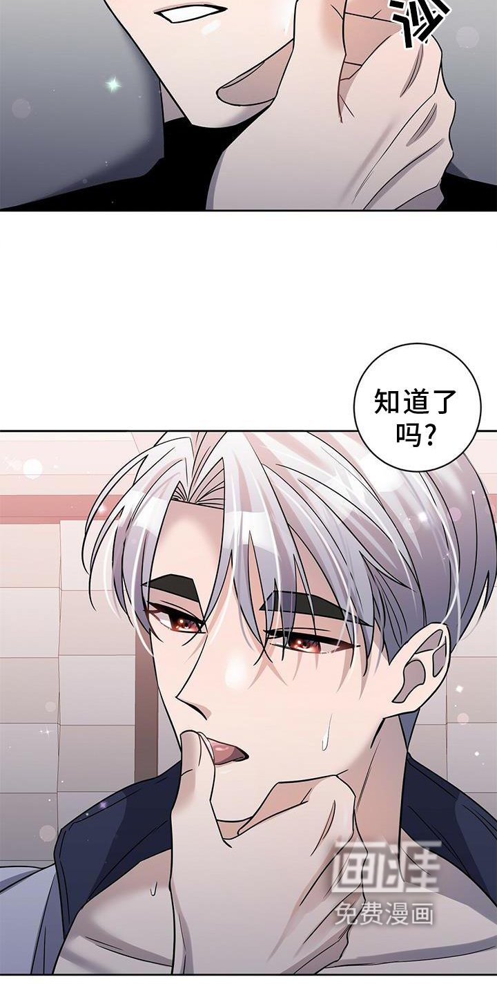 第19章：安排